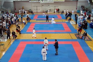 Campionato Regionale di karate
