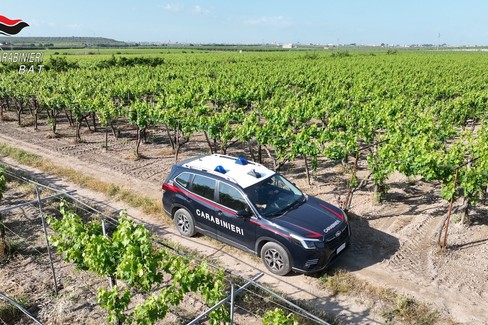 Carabinieri Vigneti