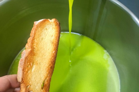 L’olio extravergine di oliva cultivar coratina. Canosa di Puglia