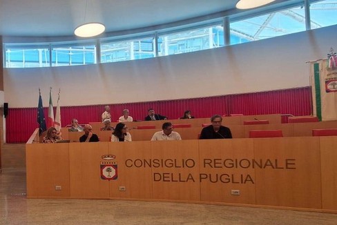 terza commissione nuovi ospedali