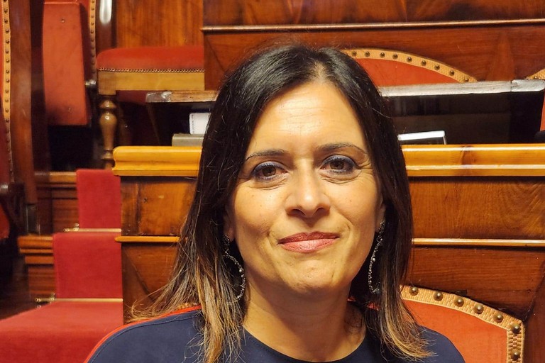 Senatrice  Maria Nocco (FdI)