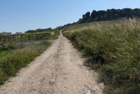 Canosa Strade rurali