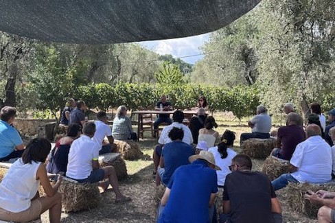 Vieste Olio EVO